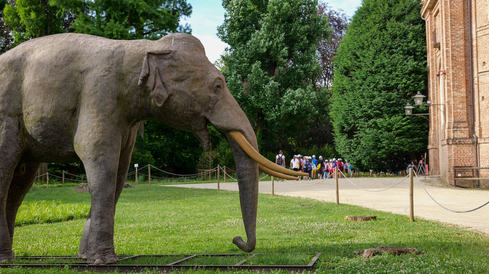 Teknoservice joins forces with GECO & Smart Eventi for World Environment Day - 8