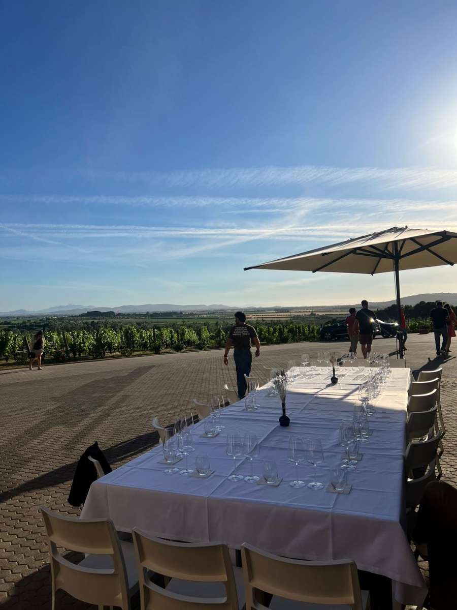 CBRE’s summer incentive in Tuscany with a carton boat competition and a visit to a local winery - 3