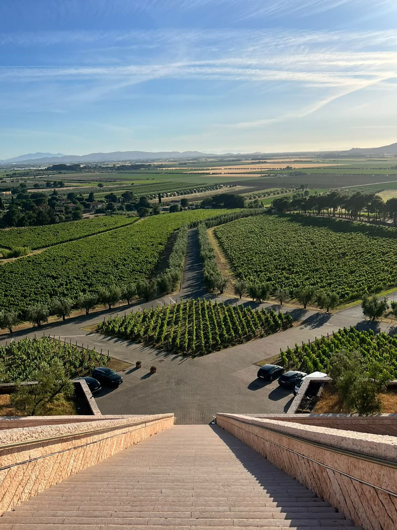 CBRE’s summer incentive in Tuscany with a carton boat competition and a visit to a local winery - 2