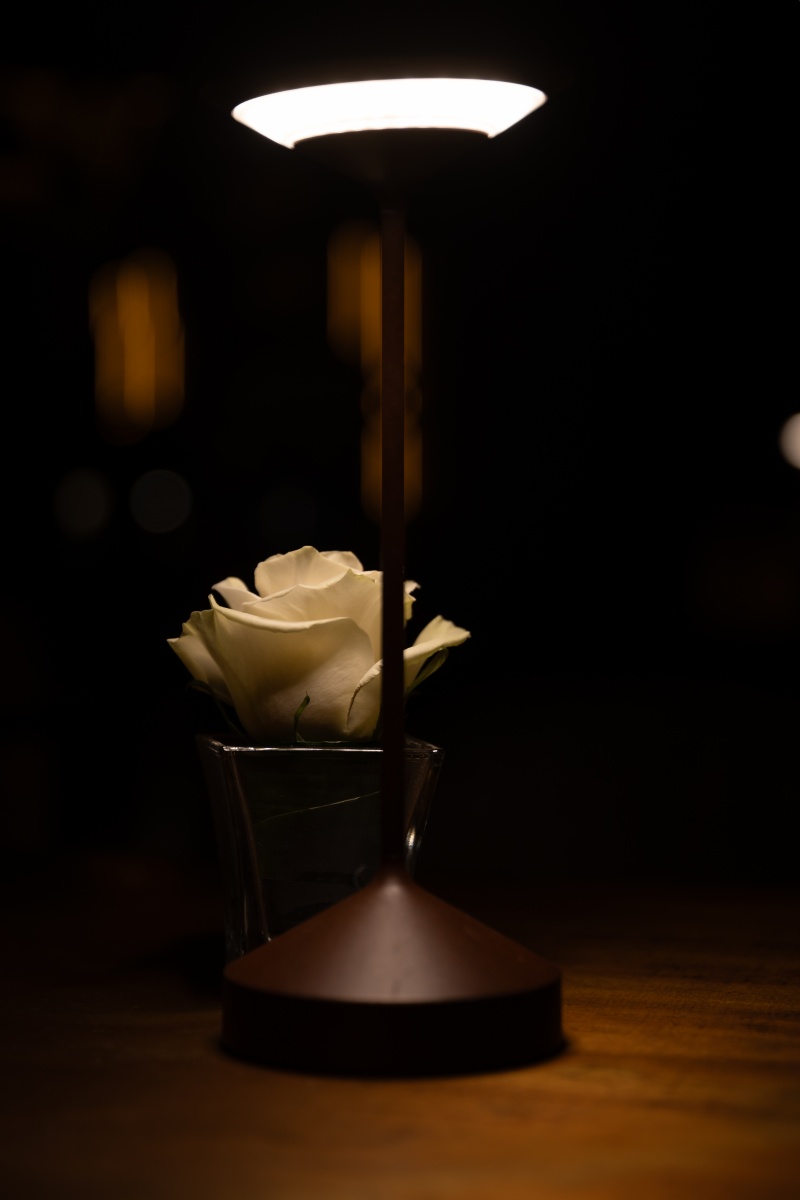 A memorable 18th birthday celebration in Milan - 18