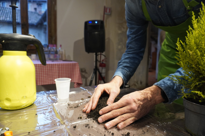 AKAMAS socially-conscious team building with Kokedama workshop - 0