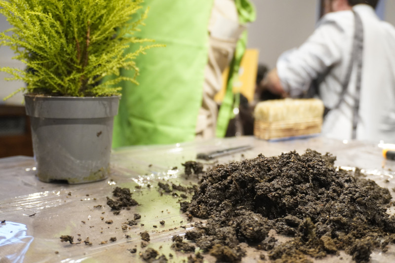 AKAMAS socially-conscious team building with Kokedama workshop - 16