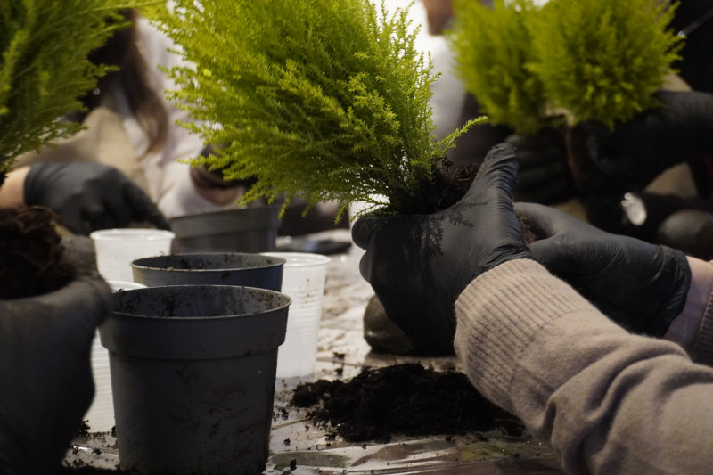 AKAMAS socially-conscious team building with Kokedama workshop - 13