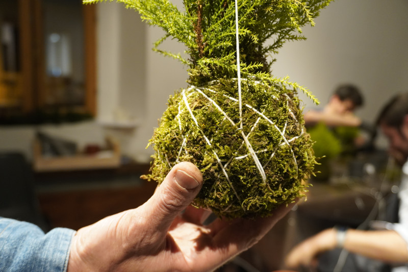 AKAMAS socially-conscious team building with Kokedama workshop - 18