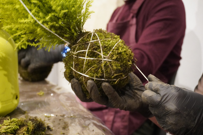 AKAMAS socially-conscious team building with Kokedama workshop - 1