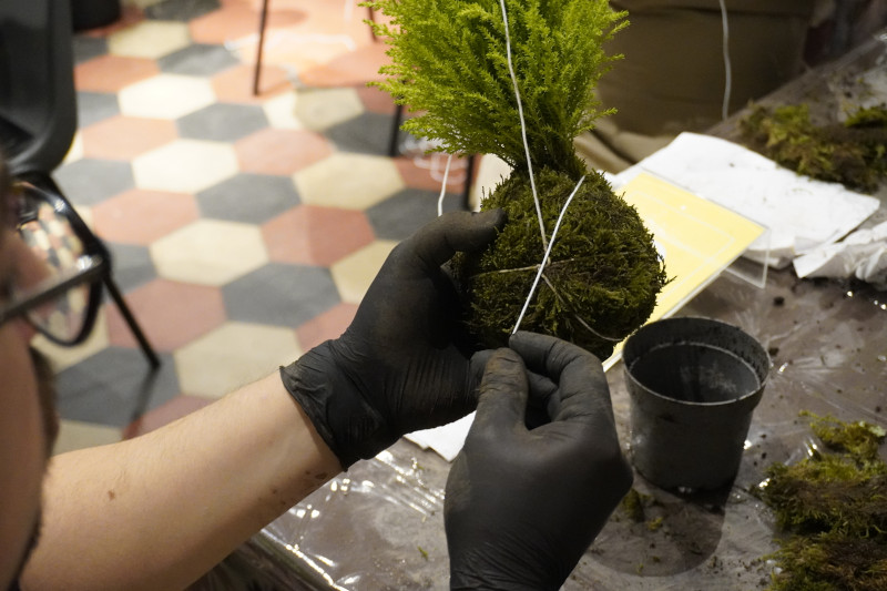 AKAMAS socially-conscious team building with Kokedama workshop - 4