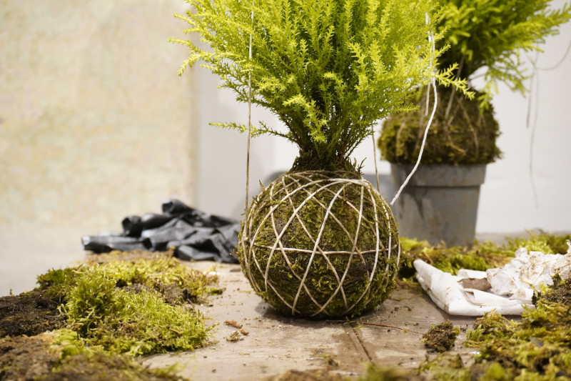 AKAMAS socially-conscious team building with Kokedama workshop - 20