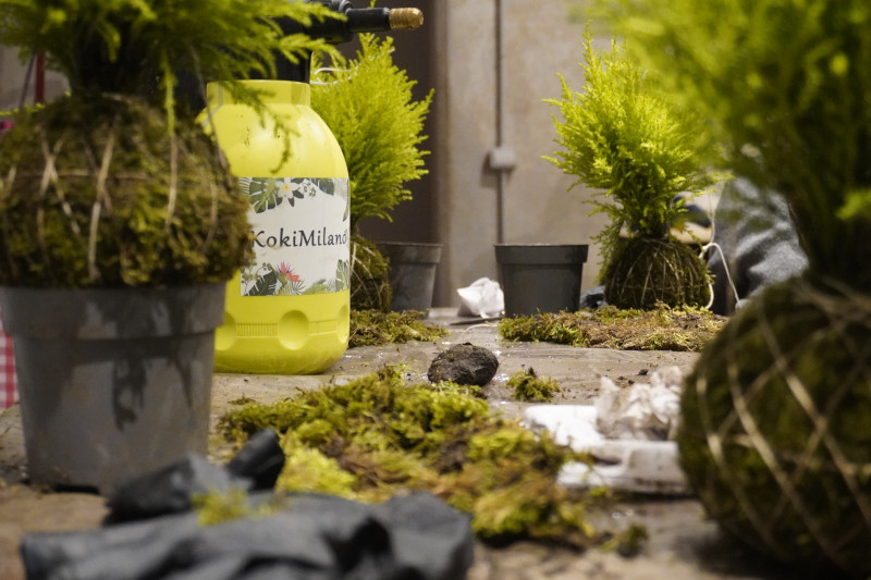 AKAMAS socially-conscious team building with Kokedama workshop - 21