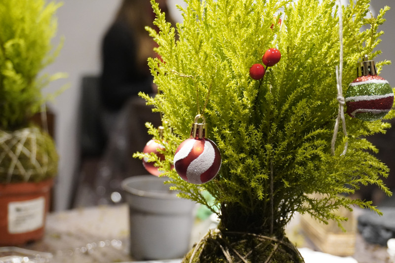 AKAMAS socially-conscious team building with Kokedama workshop - 17