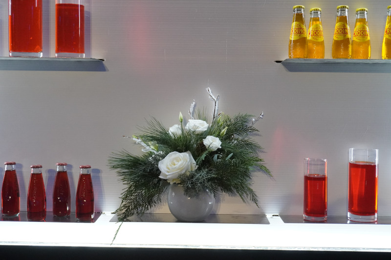 Saint-Gobain 2026 company kick-off: mountain-themed creative décor in Milan - 13