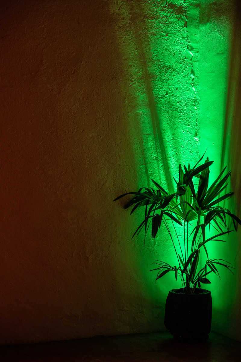 Private 50th birthday party at Officine de Rolandi: an exclusive and unforgettable event - 2