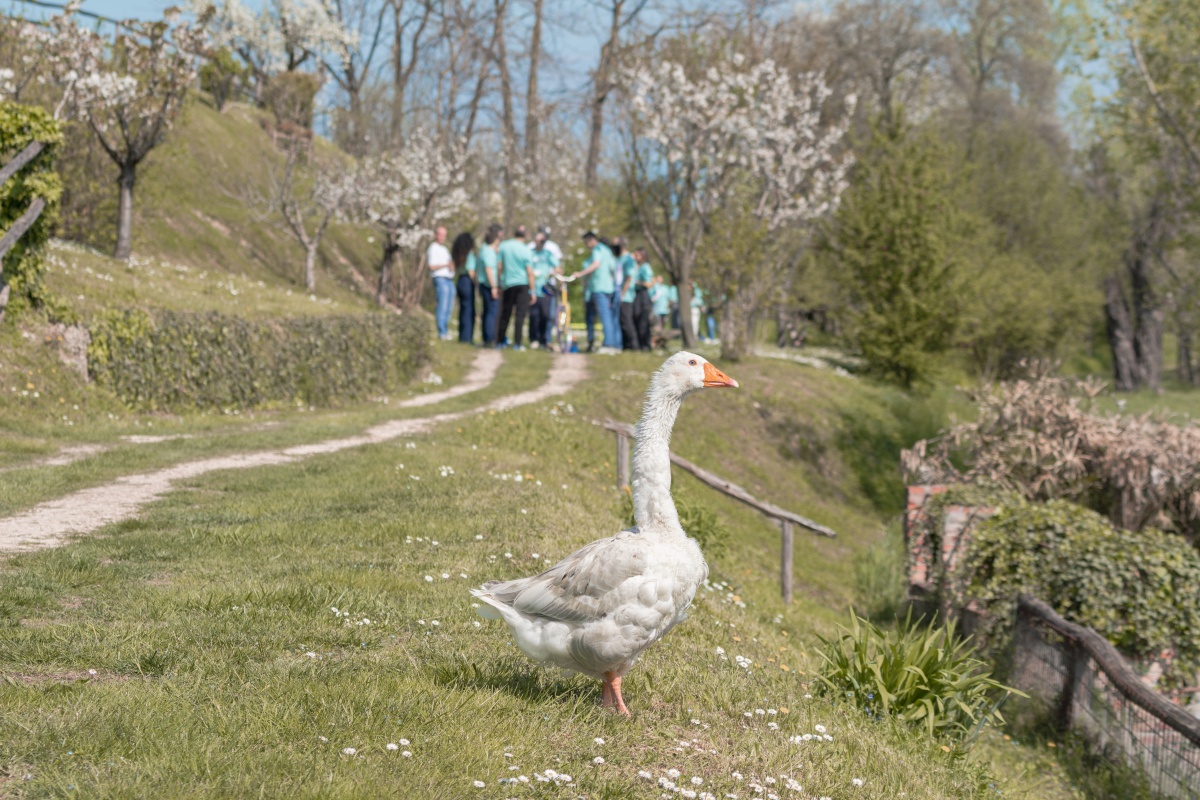 First Medi-Market Italia convention: an exclusive corporate event by Lake Garda - 2