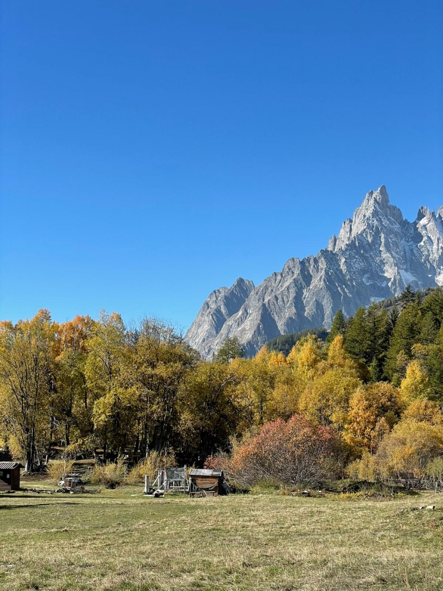 Corporate incentive trip to Courmayeur with training and team building - 8