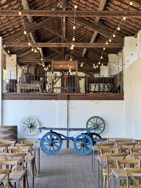 Customised quiz game for company event in the countryside - 5