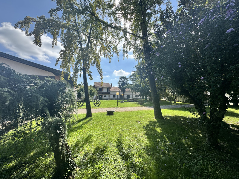 Customised quiz game for company event in the countryside - 2