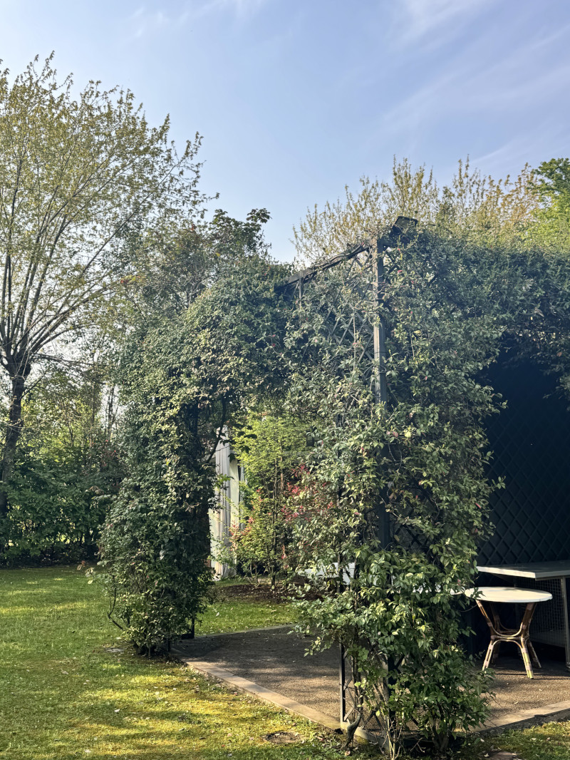 The rhythm of success: drum circle team building for ABB - 8