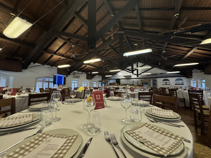 Customised quiz game for company event in the countryside - 10