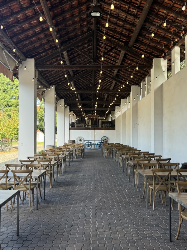 Customised quiz game for company event in the countryside - 6