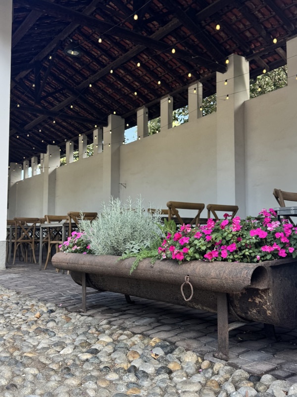 Customised quiz game for company event in the countryside - 4